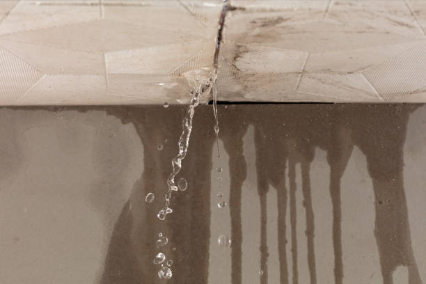Professional Flood Damage Cleanup technician working in New Bloomfield, MO